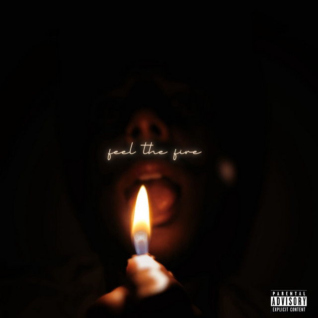 Feel the Fire cover art