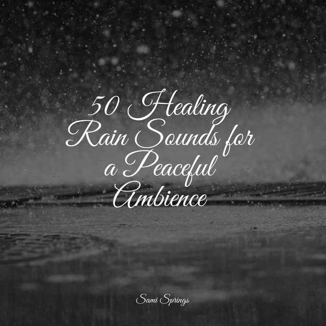 50 Healing Rain Sounds for a Peaceful Ambience - Album by Study Music ...