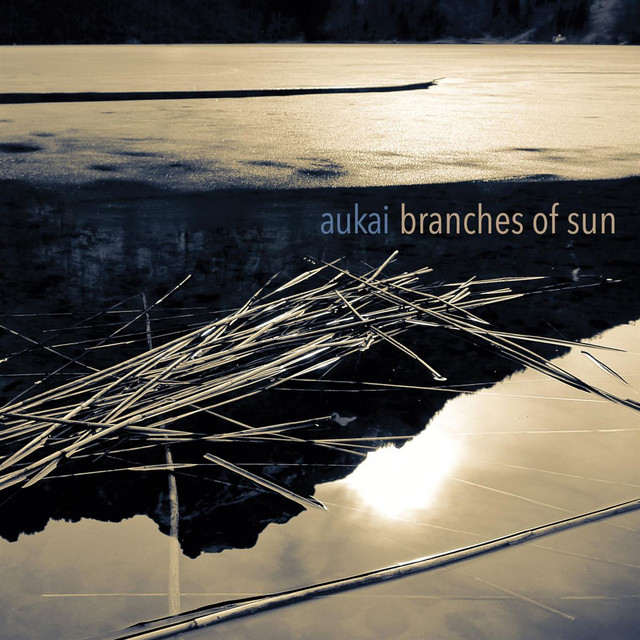 Branches of Sun cover art