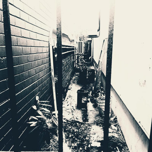 Sangyō-yō Mirai Oto cover art