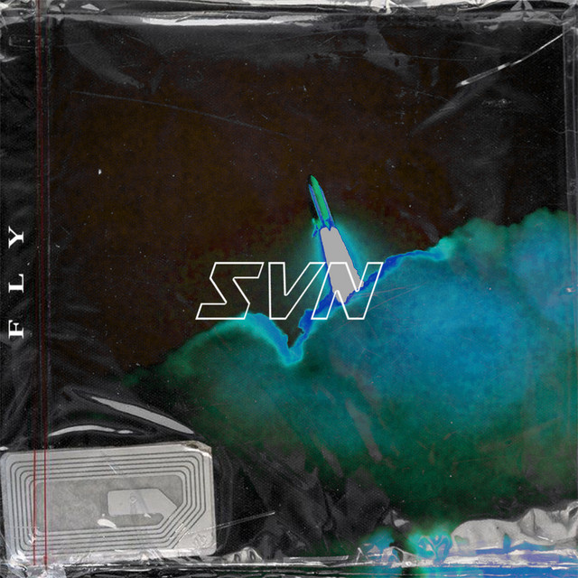 Fly cover art