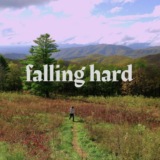Falling Hard - Single by DXRKNOVA | Spotify