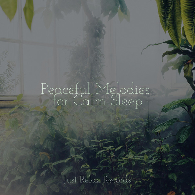 Peaceful Melodies for Calm Sleep - Album by Children's Music | Spotify