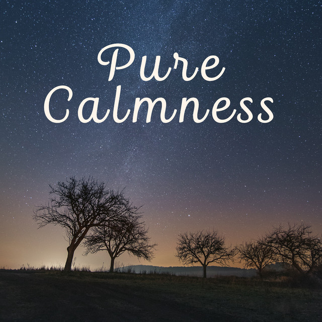 Pure Calmness – New Age Music, Nature Sounds, Healing Melodies, Music ...