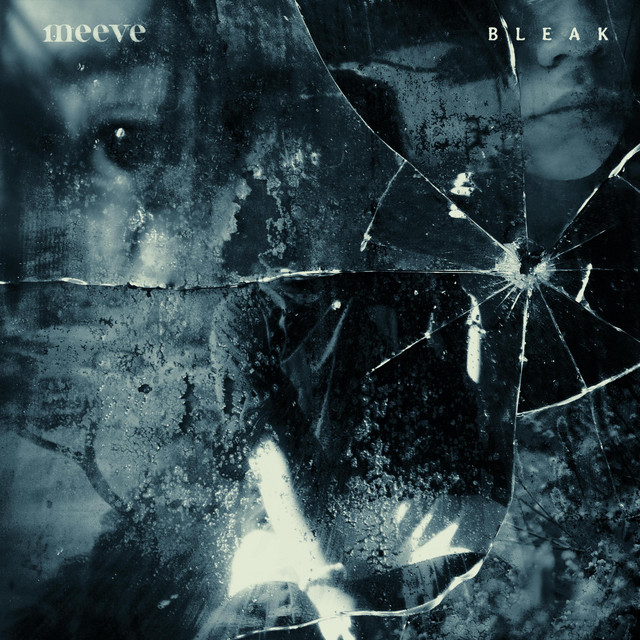 Bleak cover art