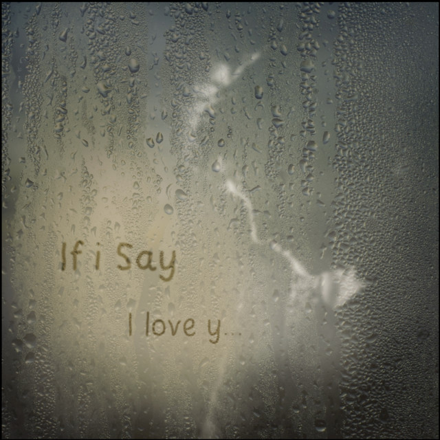 If I Say (I Love You)
