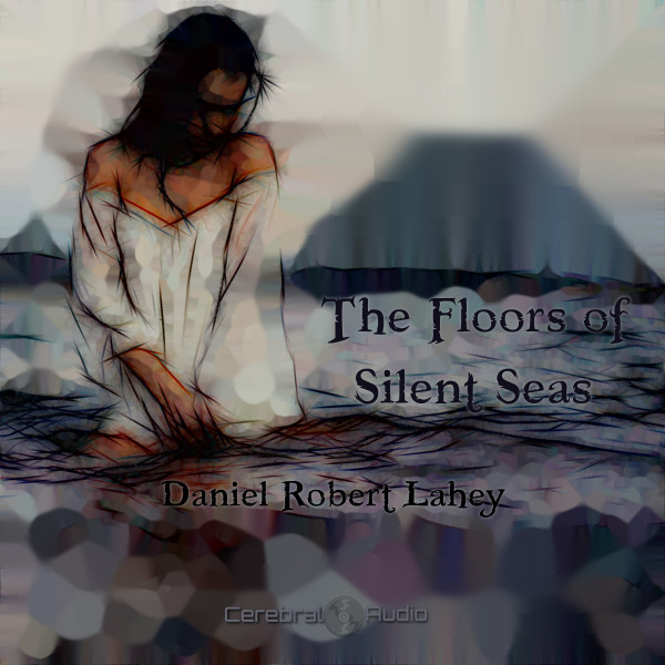 The Floors of Silent Seas cover