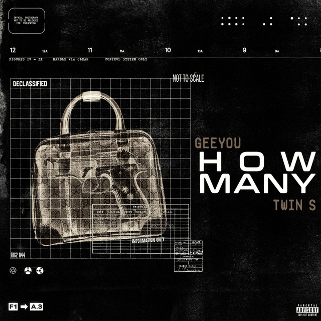 How Many cover art