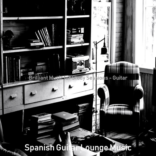 Brilliant Music for Study Sessions - Guitar cover art