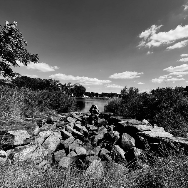 Bear Creek cover art