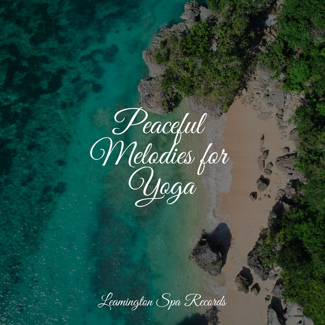 Peaceful Melodies for Yoga - Album by Ambient Nature project | Spotify