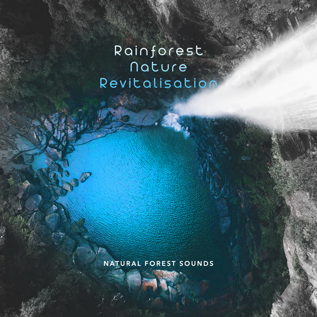 Rainforest Nature Revitalisation - Album by Natural Forest Sounds | Spotify