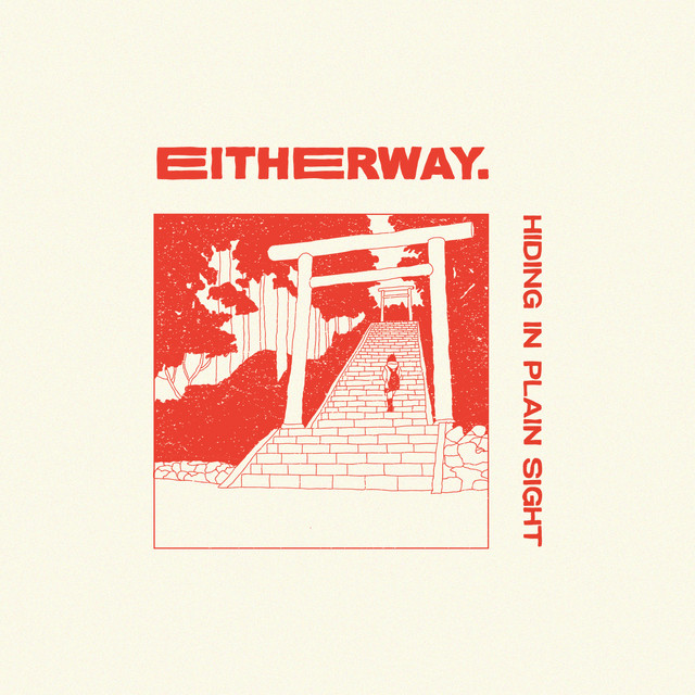 Hiding in Plain Sight cover art