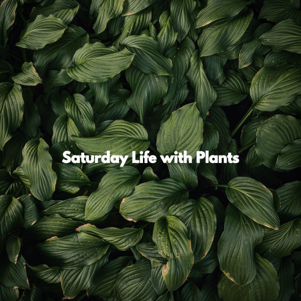 Saturday Life with Plants cover art