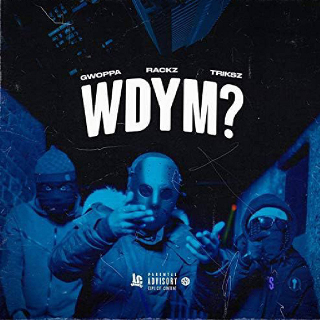 WDYM? cover art