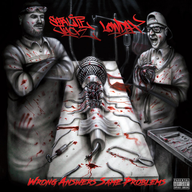 Wrong Answers Same Problems cover art