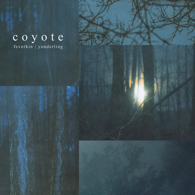 Coyote cover art