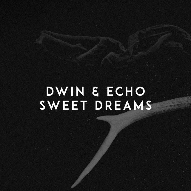 Echo