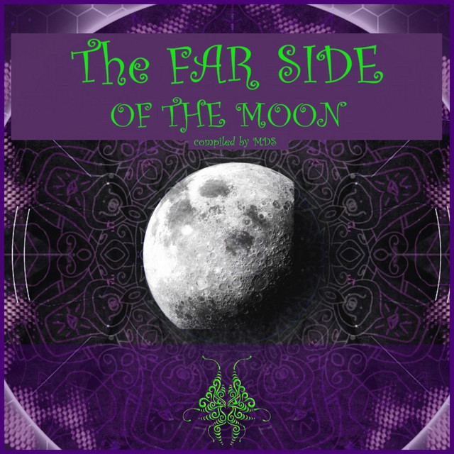 The Far Side of the Moon cover