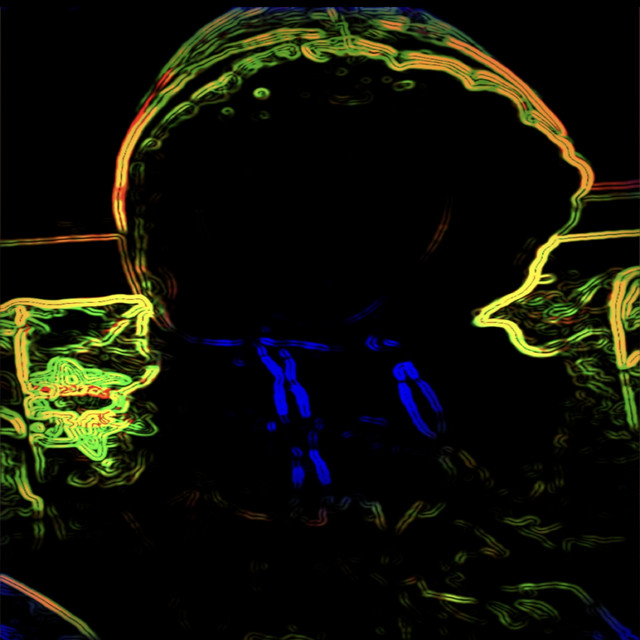 PSYCHEDELIC WONDERLAND cover art