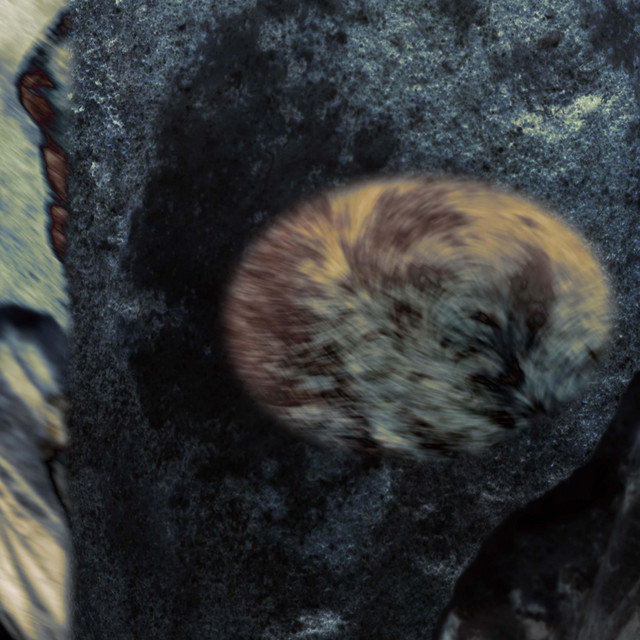 Urn Fragments, Pt. 1 cover art