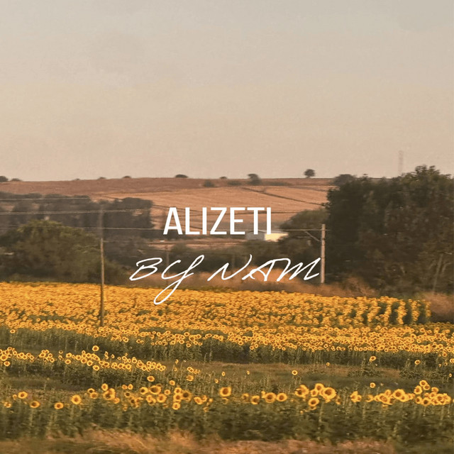 Alizeti cover art