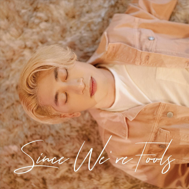 Since We're Fools cover art