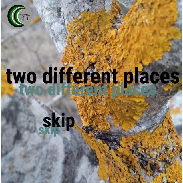 skip cover art