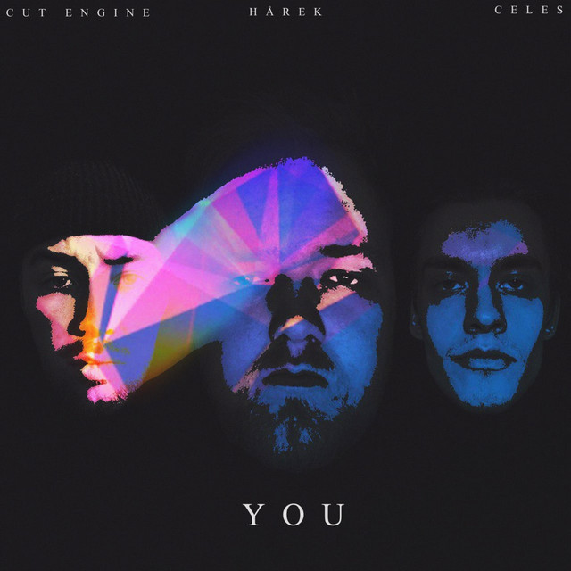 YOU cover art