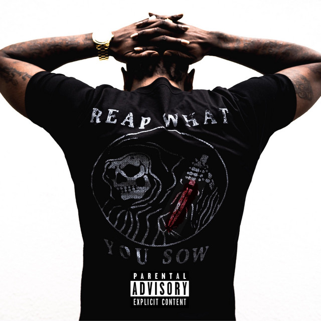 Reap What You Sow cover art