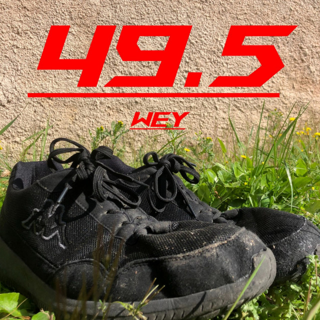 49.5 cover art