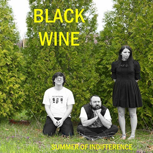 Summer Of Indifference cover