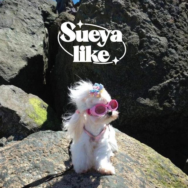Capa de Petals in motion - sueyalike