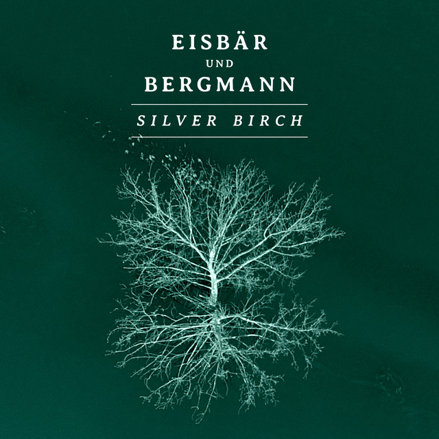 Silver Birch cover art