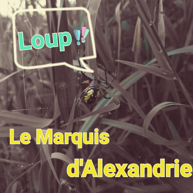 Loup