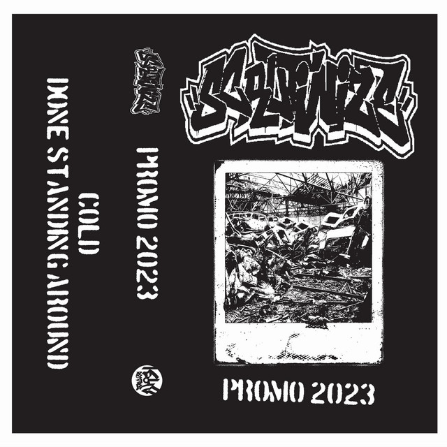 Promo 2023 cover art