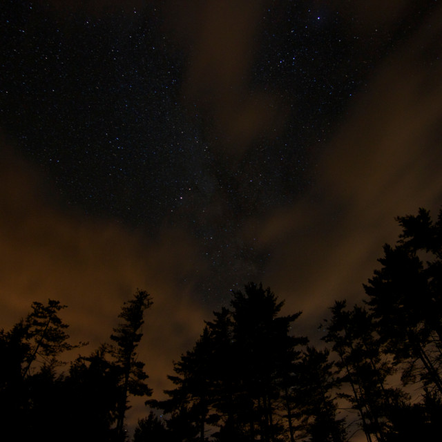 Night cover art