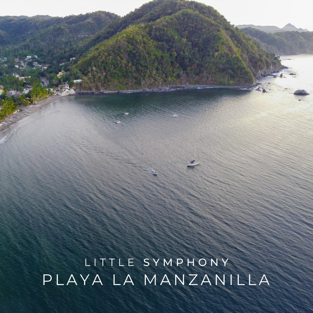 Playa La Manzanilla