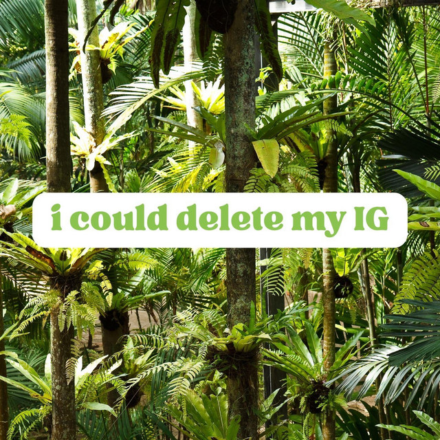 I Could Delete My IG... cover