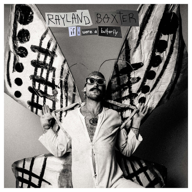 If I Were A Butterfly cover