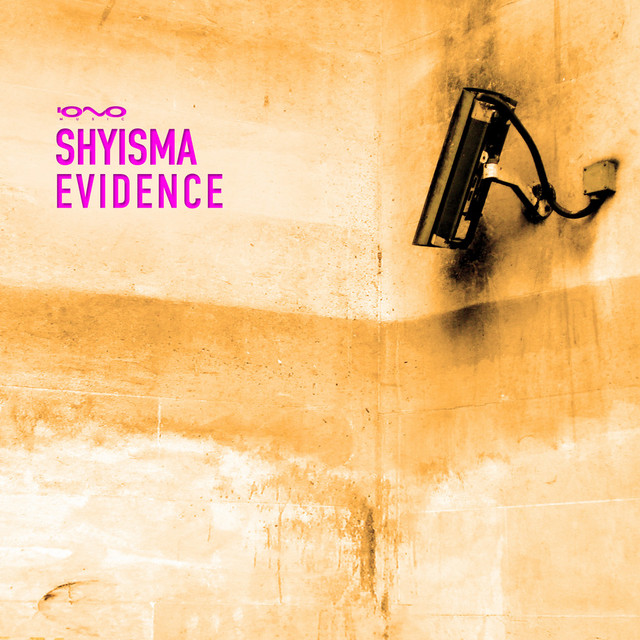 Evidence cover art