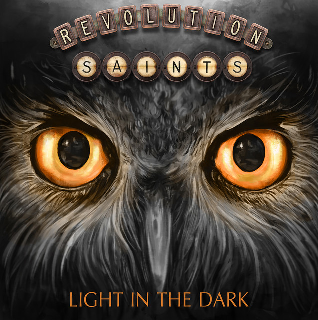 LIGHT IN THE DARK【通常盤】 cover art
