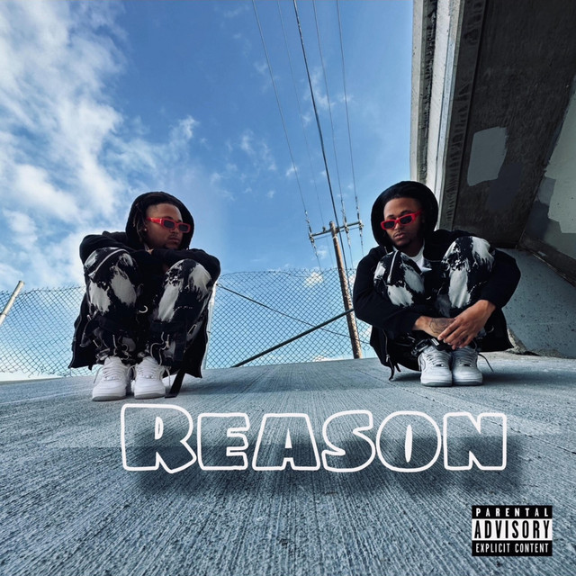 Reason cover art