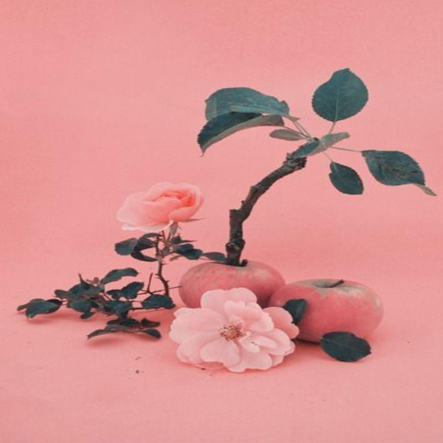 Stems
