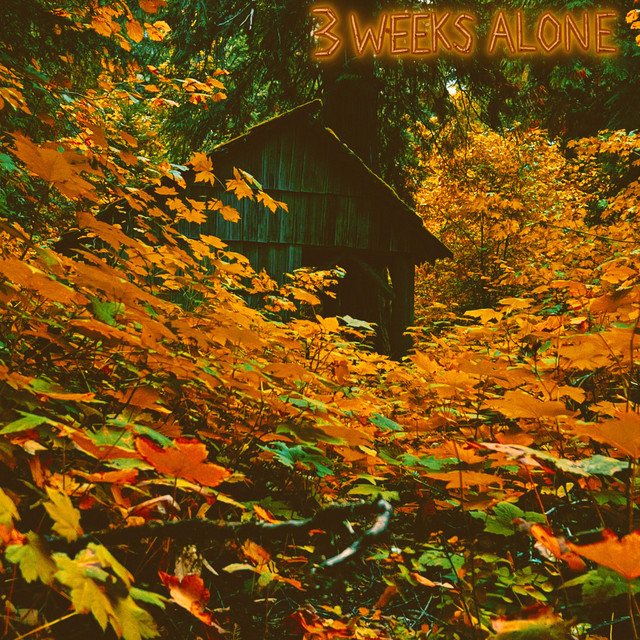 3 WEEKS ALONE cover art