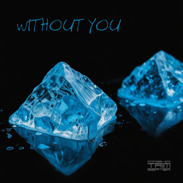 Обкладинка: Without You — Trimbeater