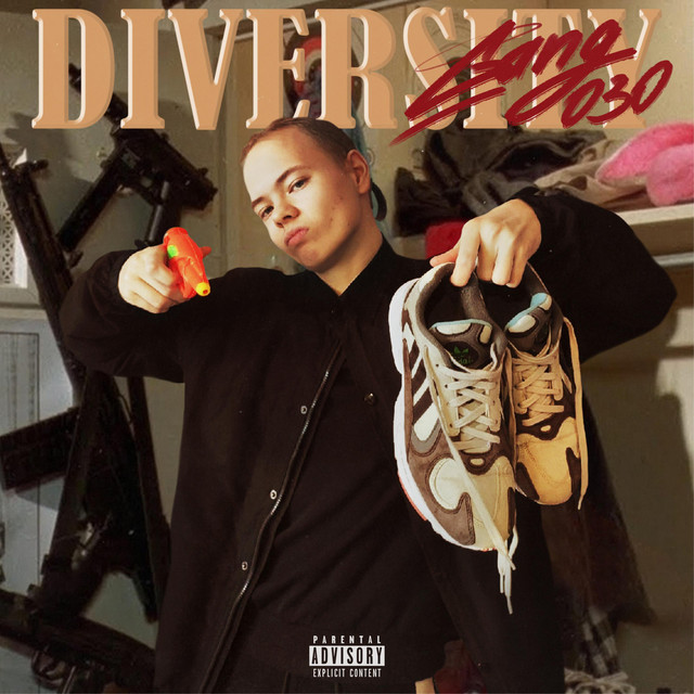 Diversity cover art