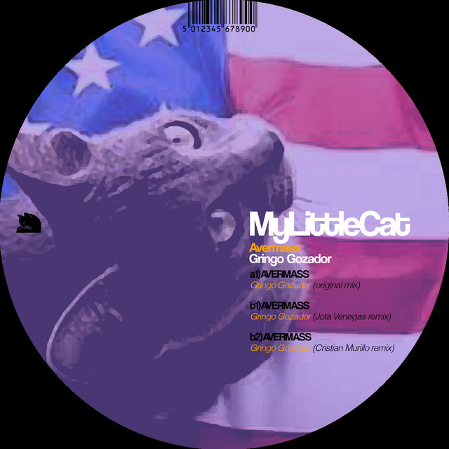 Gringo Gozador - Cristian Murillo Remix cover art