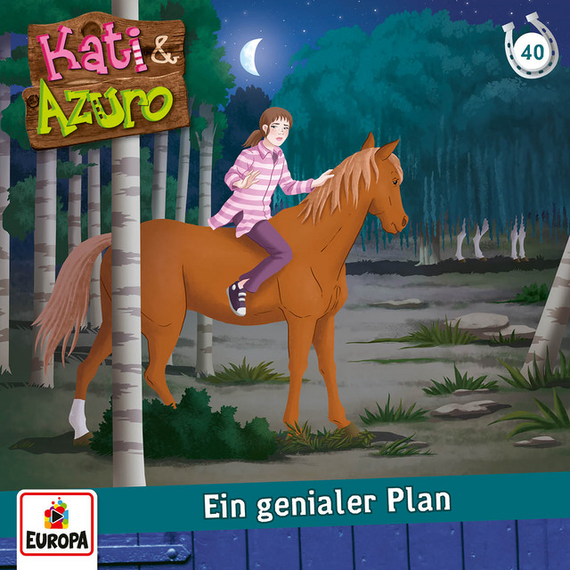 Cover: Ein genialer Plan
