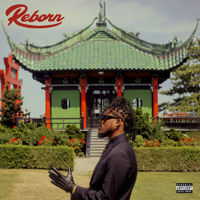 REBORN cover